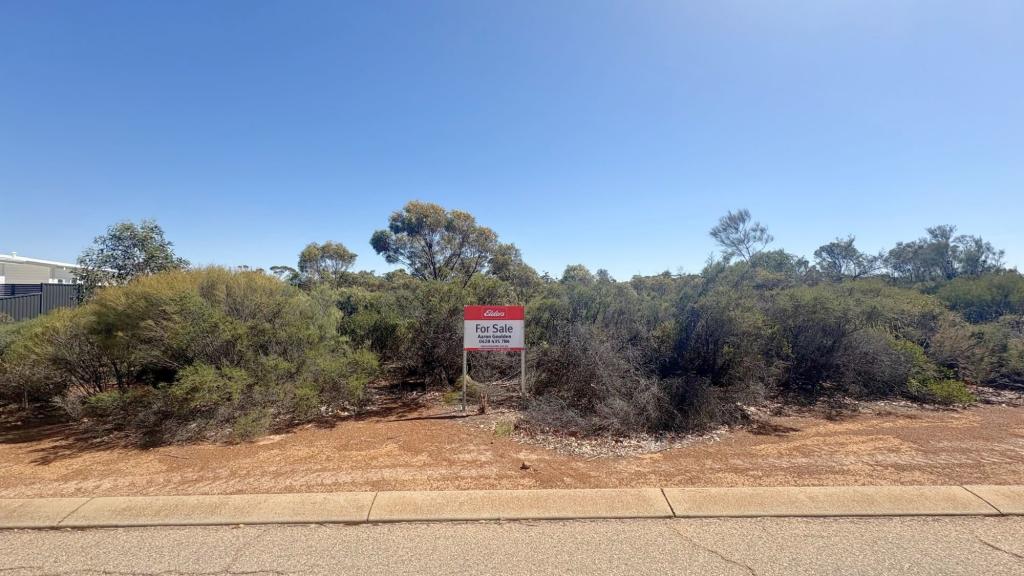 4 Shields Cres, Wongan Hills, WA 6603