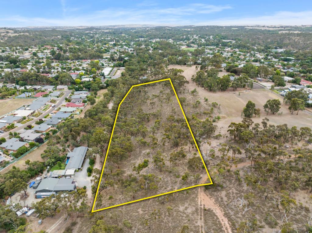 Lot 1000 Hanlins Rd, Clare, SA 5453