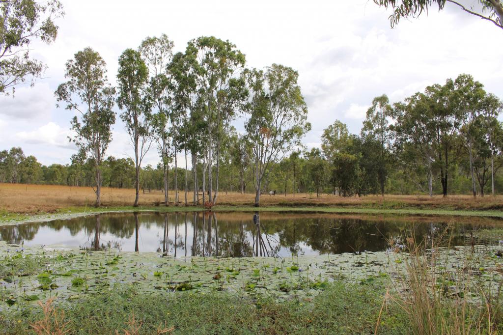 Contact agent for address, RAGLAN, QLD 4697