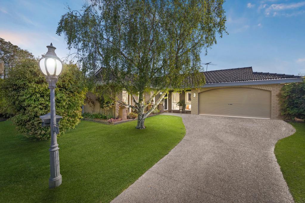 3 Brett Ct, Cheltenham, VIC 3192
