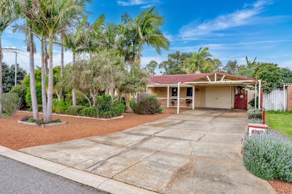 17 SALTER ST, PINJARRA, WA 6208