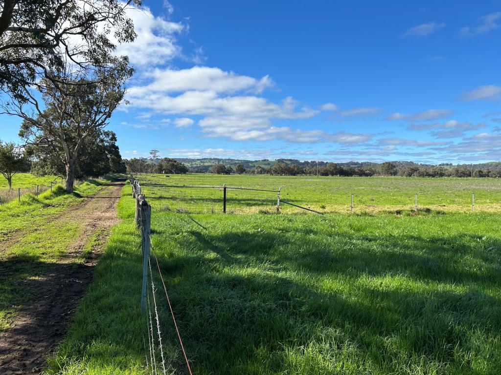 21 POWELL RD, WOKALUP, WA 6221