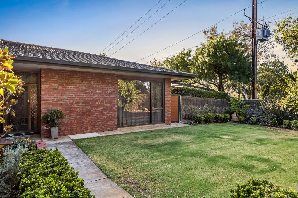 17a Brigalow Ave, Kensington Gardens, SA 5068