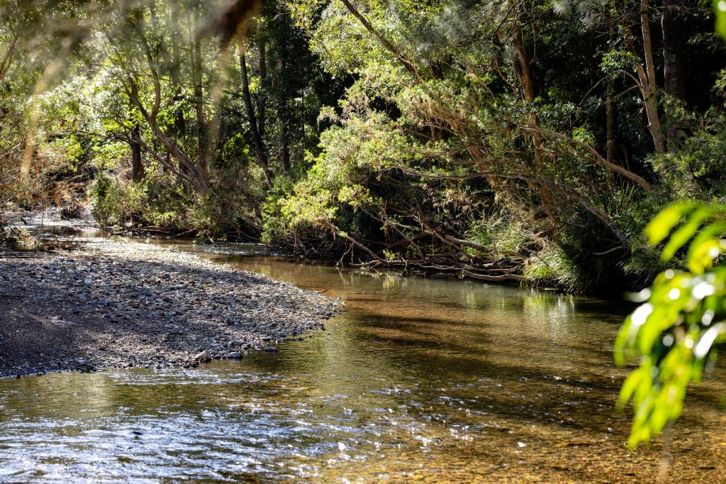 132 Little Run Rd, Wherrol Flat, NSW 2429