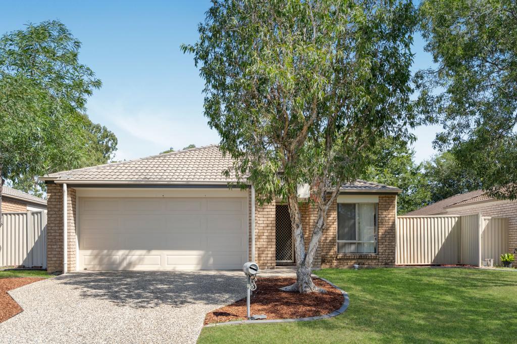 8 HOLLY CT, RACEVIEW, QLD 4305