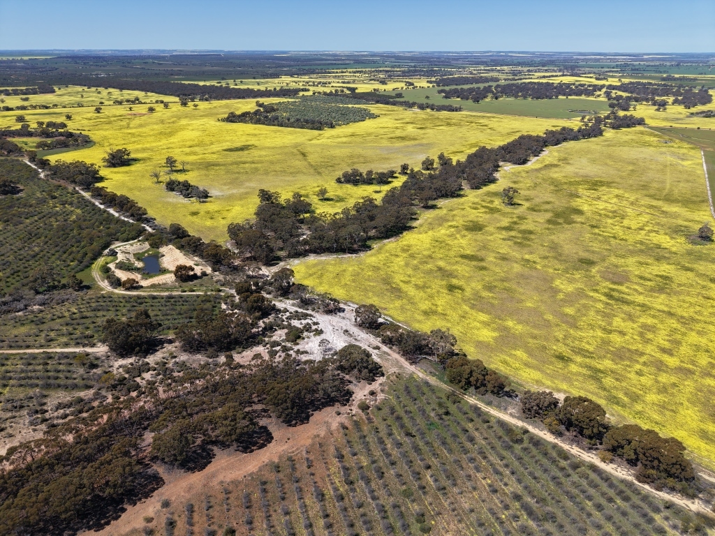 184 Ewert Rd, Morbinning, WA 6304