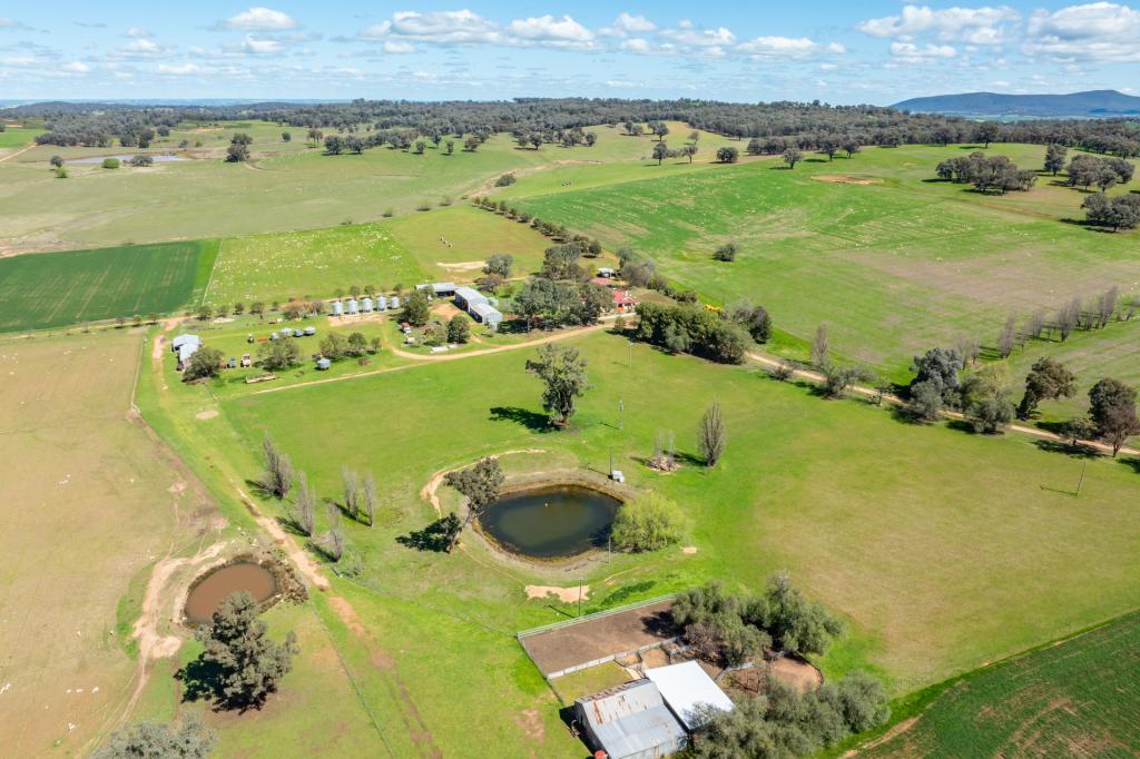 100 Grahams Lane, Grenfell, NSW 2810