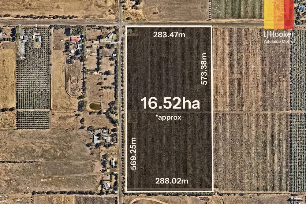 124 HAHN RD, SELLICKS HILL, SA 5174