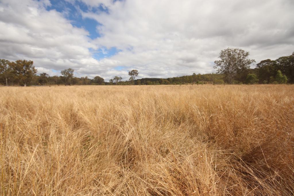 Lot 114 Kerwee Rd, Eidsvold, QLD 4627