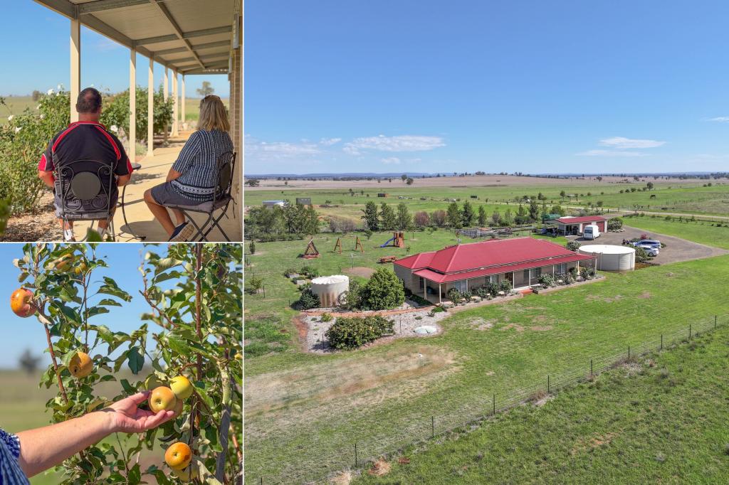 63 Gunning Ridge Rd, Forbes, NSW 2871