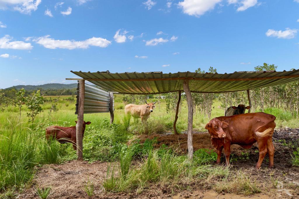 Lot 3/468 Bilwon Rd, Biboohra, QLD 4880