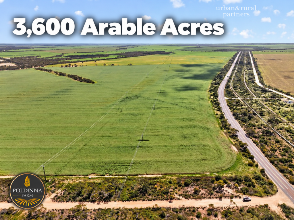 189 Smart Rd, Minnipa, SA 5654