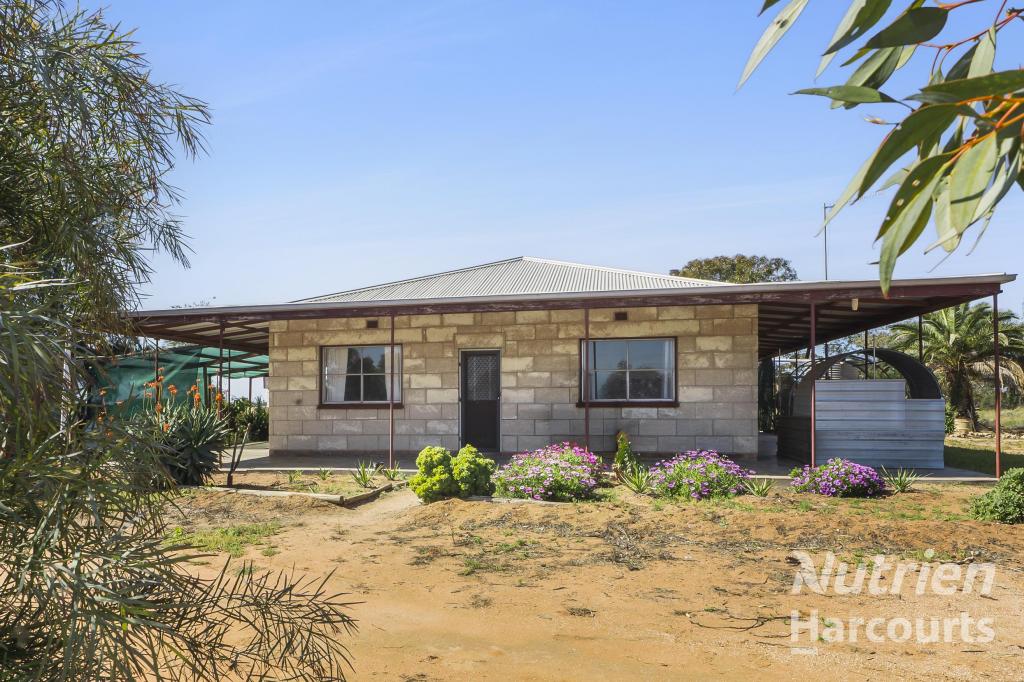 41 Kite St, Chaffey, SA 5341