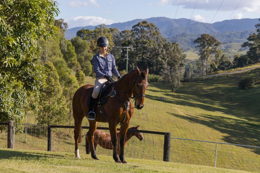 Contact Agent For Address, Mount Pleasant, QLD 4521