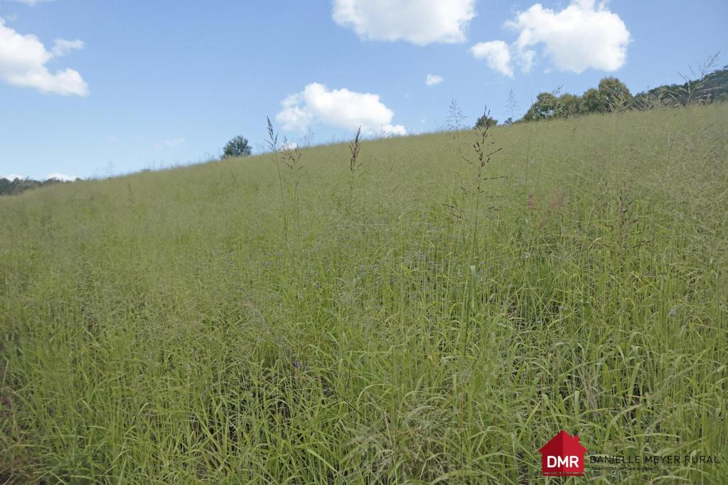 205 Dempsters Rd, Binjour, QLD 4625