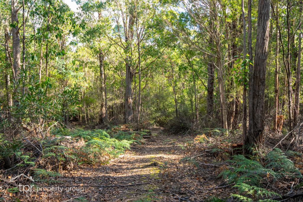 LOT 3/29 MIDDLE RD, PELVERATA, TAS 7150