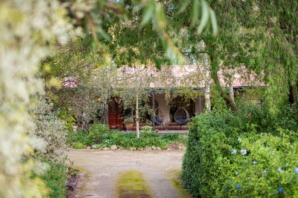 181 Acacia Dr, Millicent, SA 5280