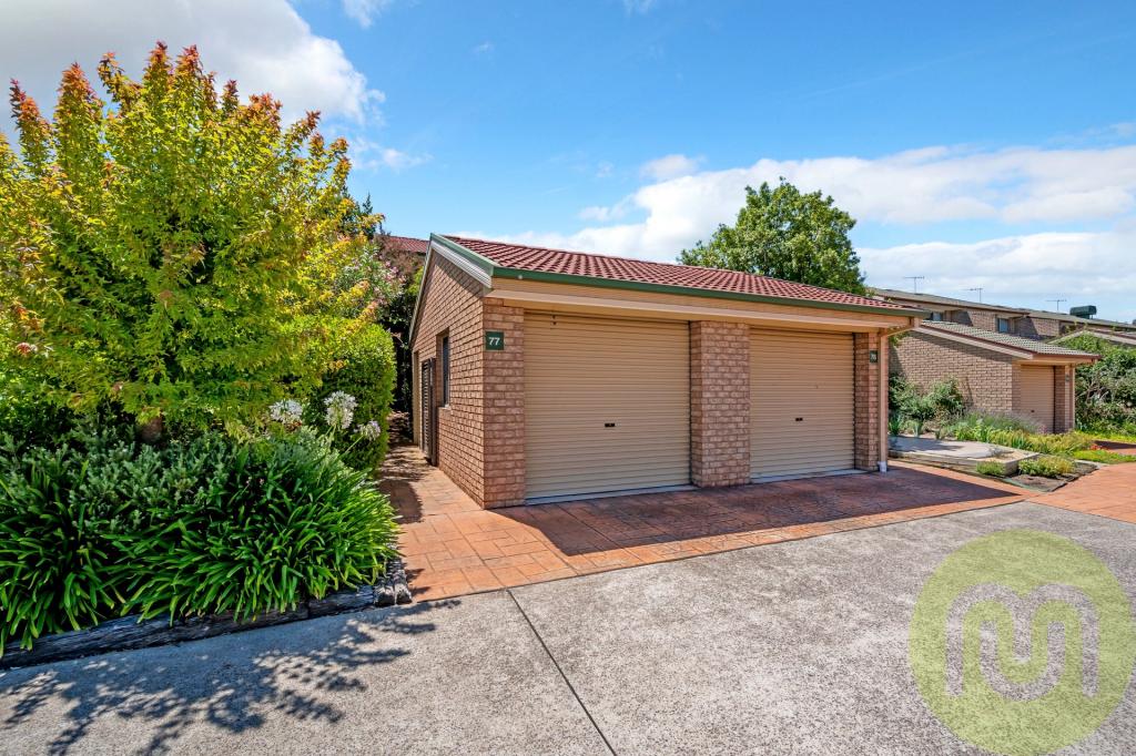 77/3 Heard St, Mawson, ACT 2607
