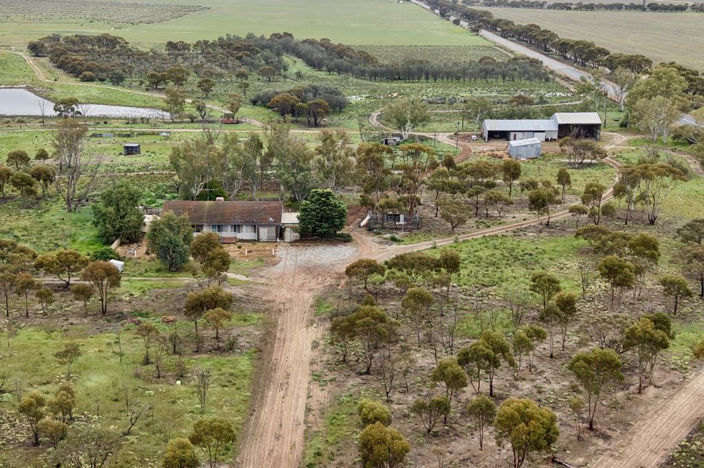 2431 Dowerin-Kalannie Rd, Minnivale, WA 6462