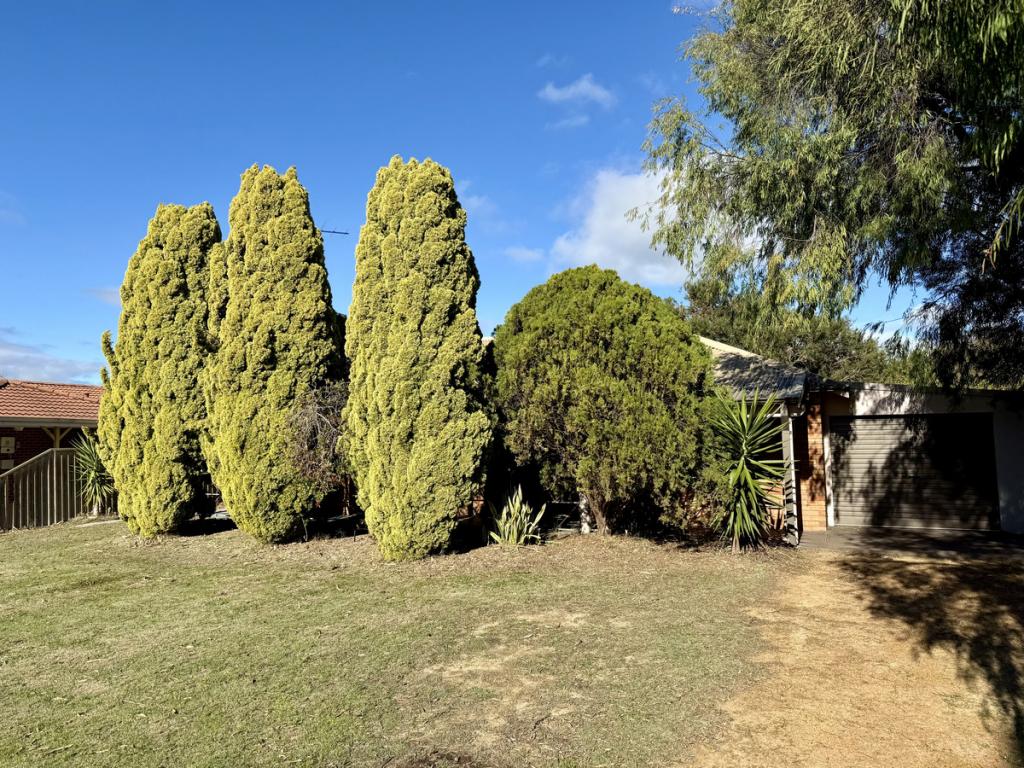 6 Macbeth Way, Geographe, WA 6280