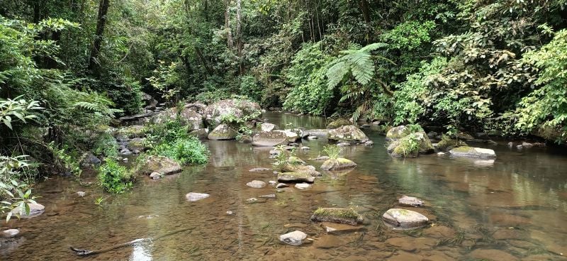 9 MIDDLEBROOK RD, MIDDLEBROOK, QLD 4886