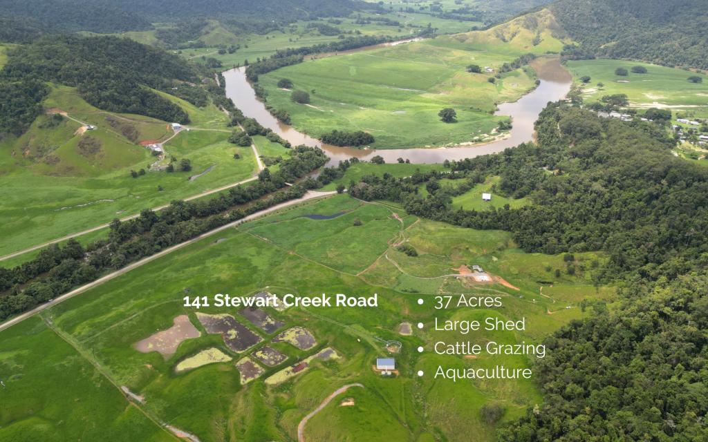 141 Stewart Creek Road, Stewart Creek Valley, Daintree, QLD 4873