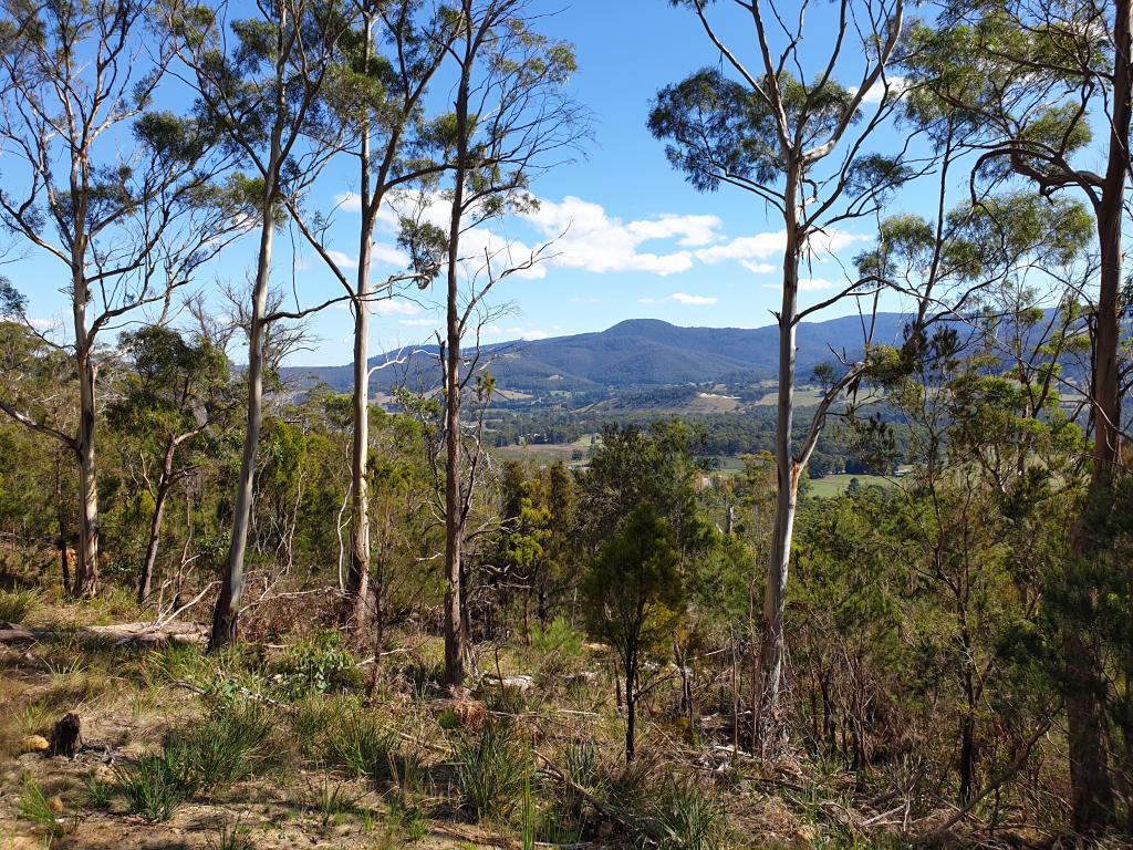 75 BULL OAK WAY, GROVE, TAS 7109