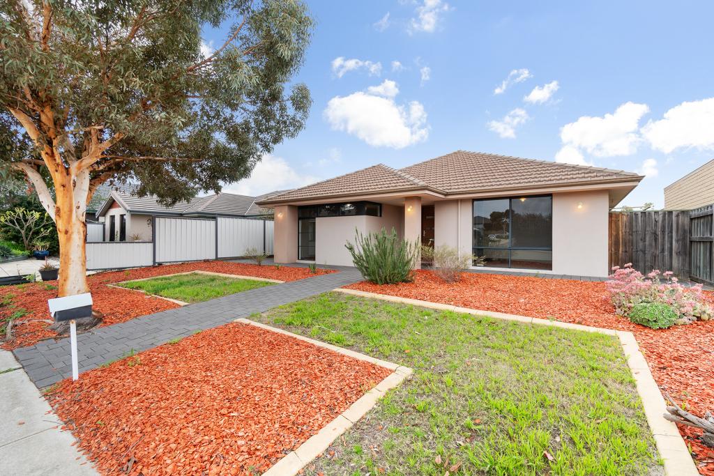 81 Lomas Cir, Ellenbrook, WA 6069