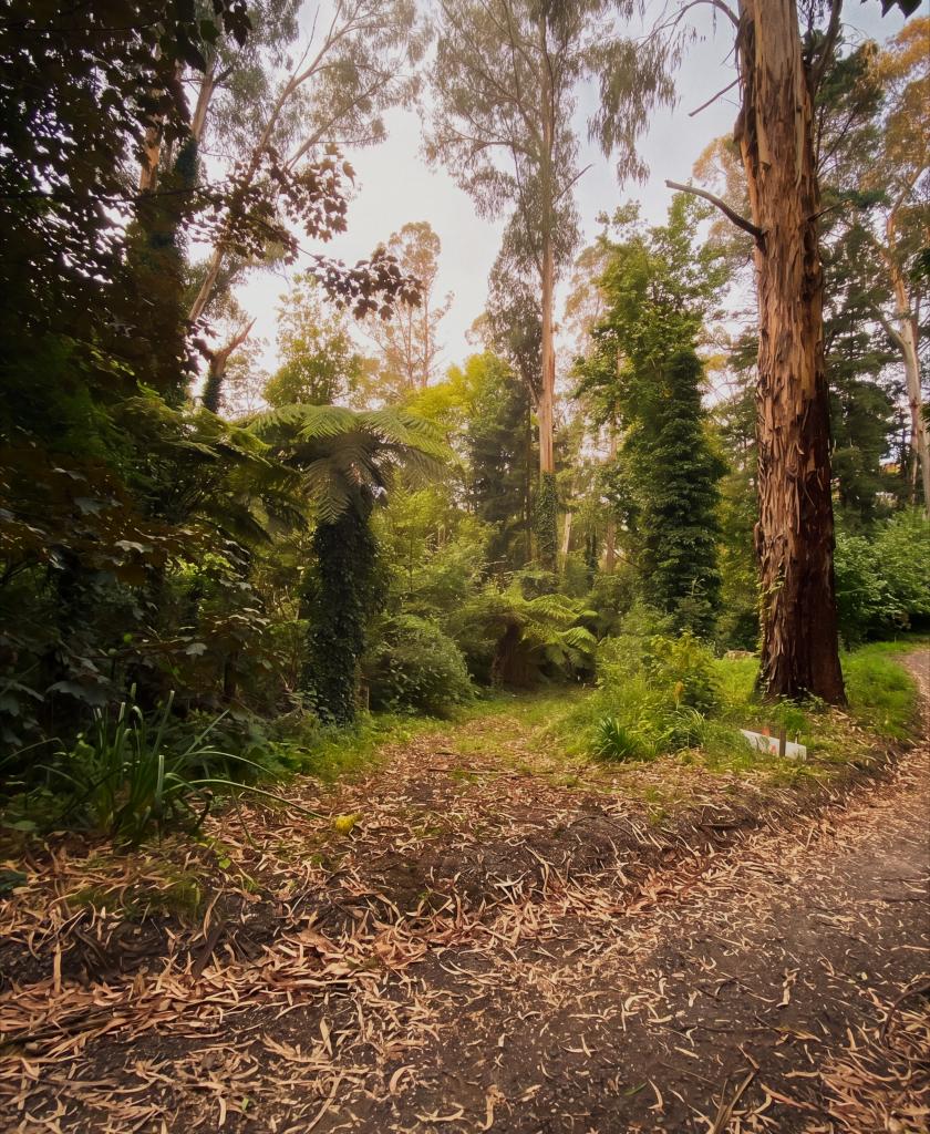 5 Dunbar Ave, Kalorama, VIC 3766