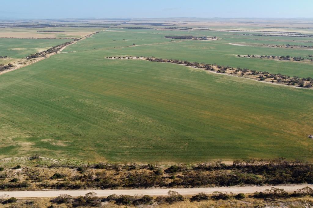 177 Taragoro Rd, Rudall, SA 5642