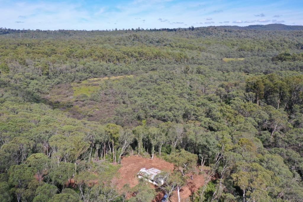 710 OLD BENDOC BONANG RD, BENDOC, VIC 3888