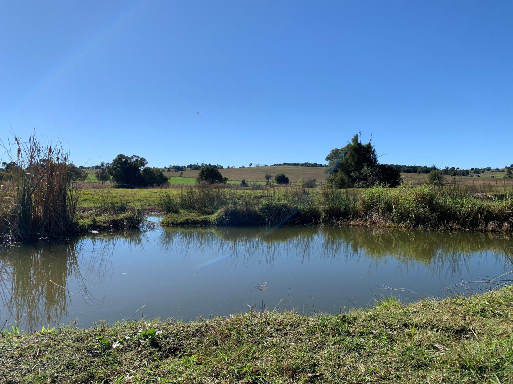 6 Charles St, Kalbar, QLD 4309