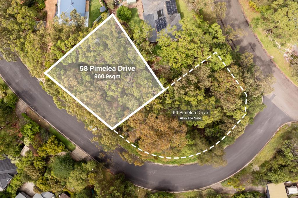 58 PIMELEA DR, WOODFORD, NSW 2778