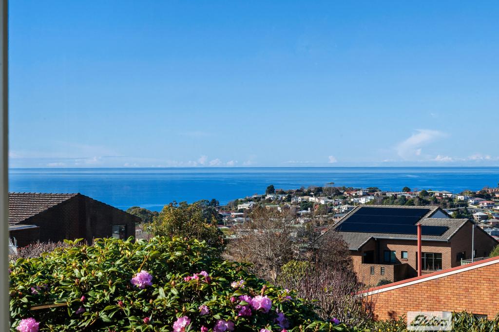 20 Hillfarm Dr, Park Grove, TAS 7320