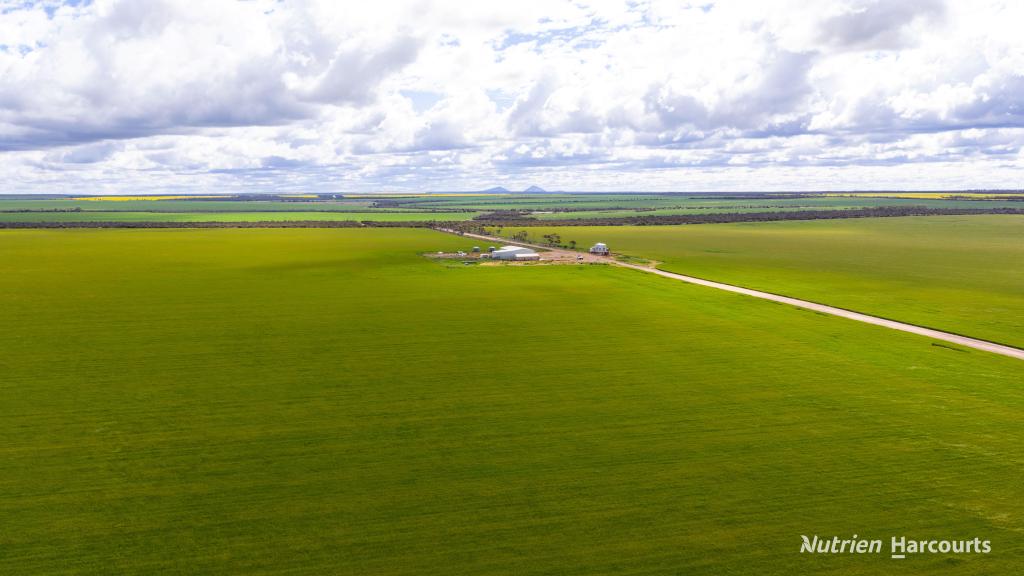 5157 Rollond Rd, Cascade, WA 6450