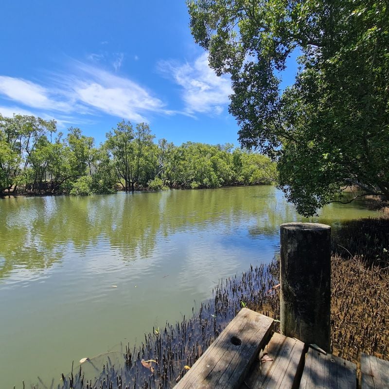 46 North Moto Rd, Jones Island, NSW 2430