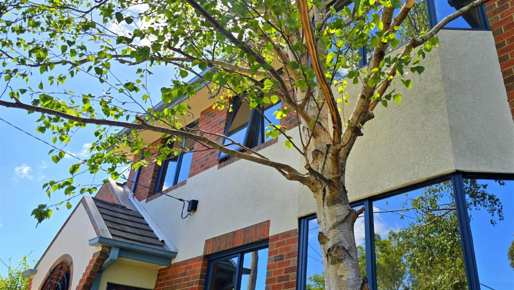 2a The Highway, Bentleigh, VIC 3204