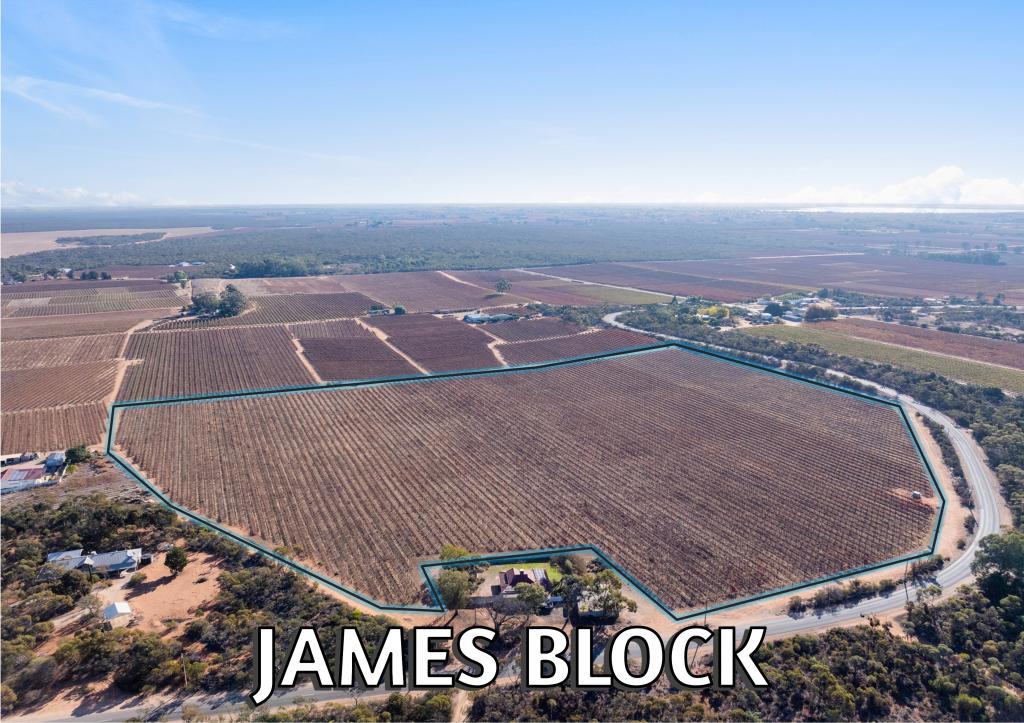 Lt1 Dalziel Rd, Winkie, SA 5343