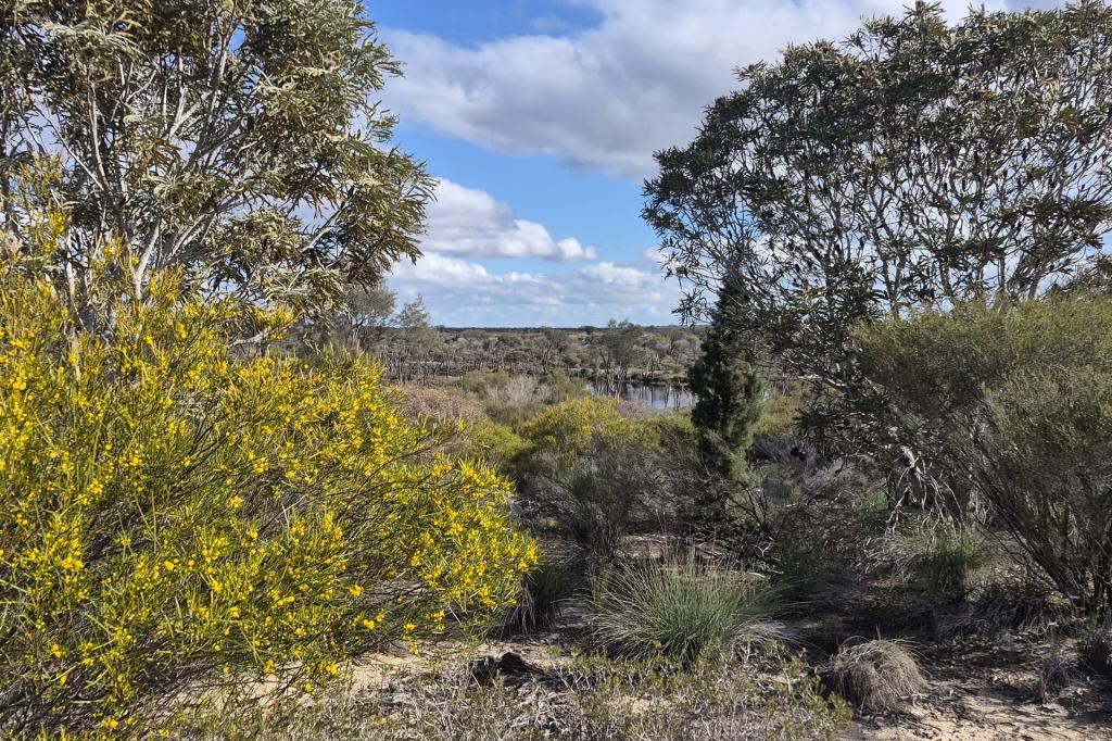 300 Launer Rd, Eganu, WA 6515