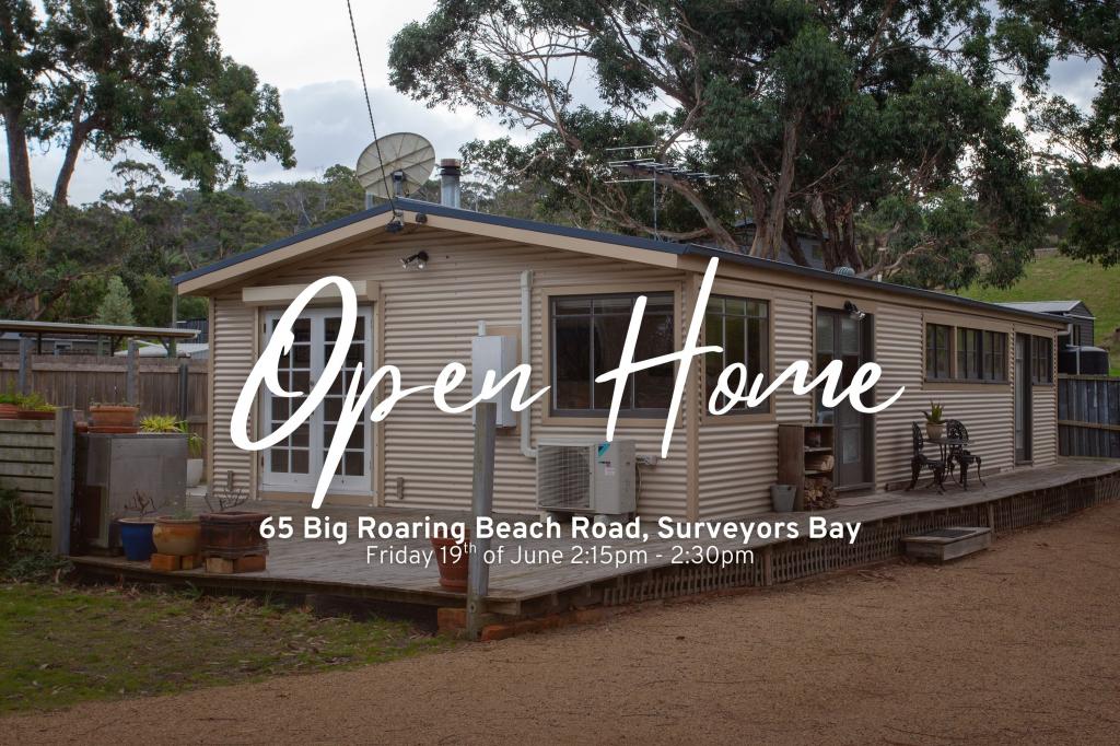 65 Big Roaring Beach Rd, Surveyors Bay, TAS 7116