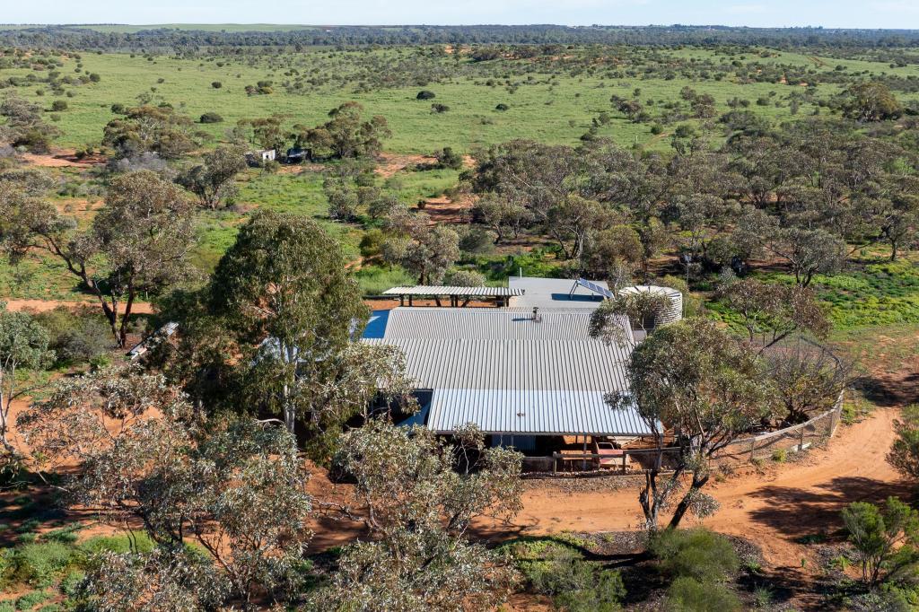 320 Rawnsley Rd, Loveday, SA 5345