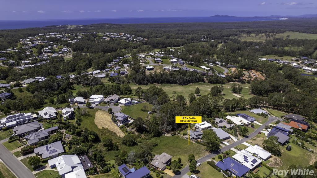 12 The Saddle, Tallwoods Village, NSW 2430