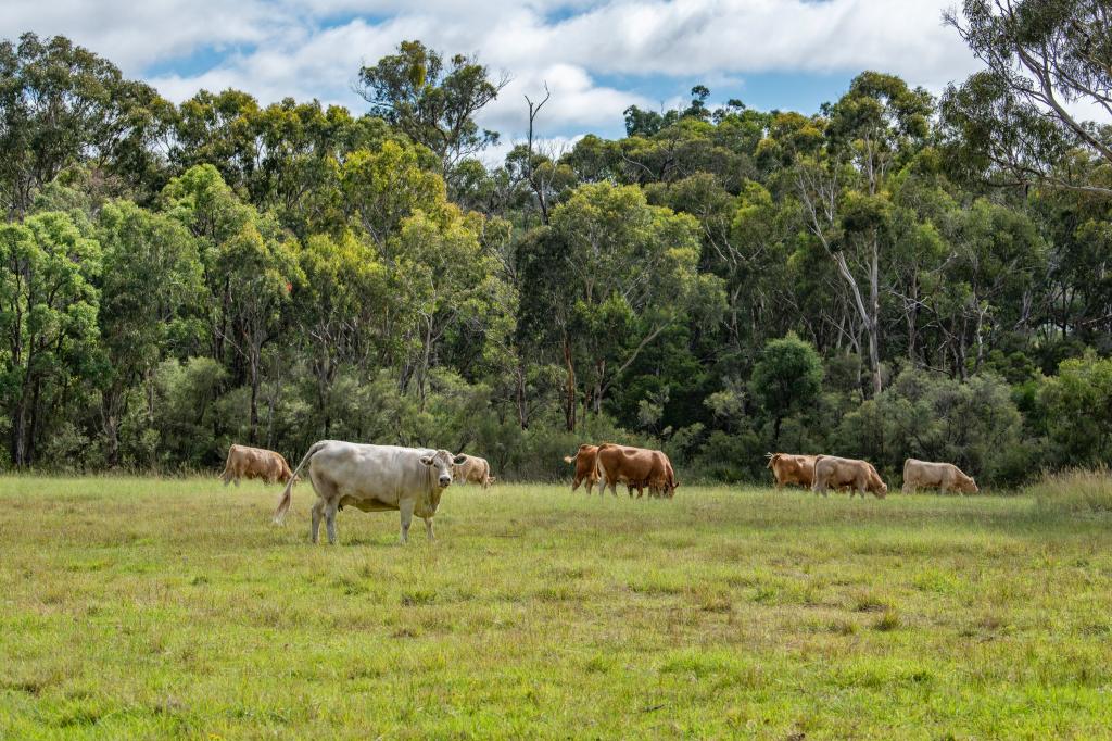 682 CANNON CREEK RD, BAPAUME, QLD 4352