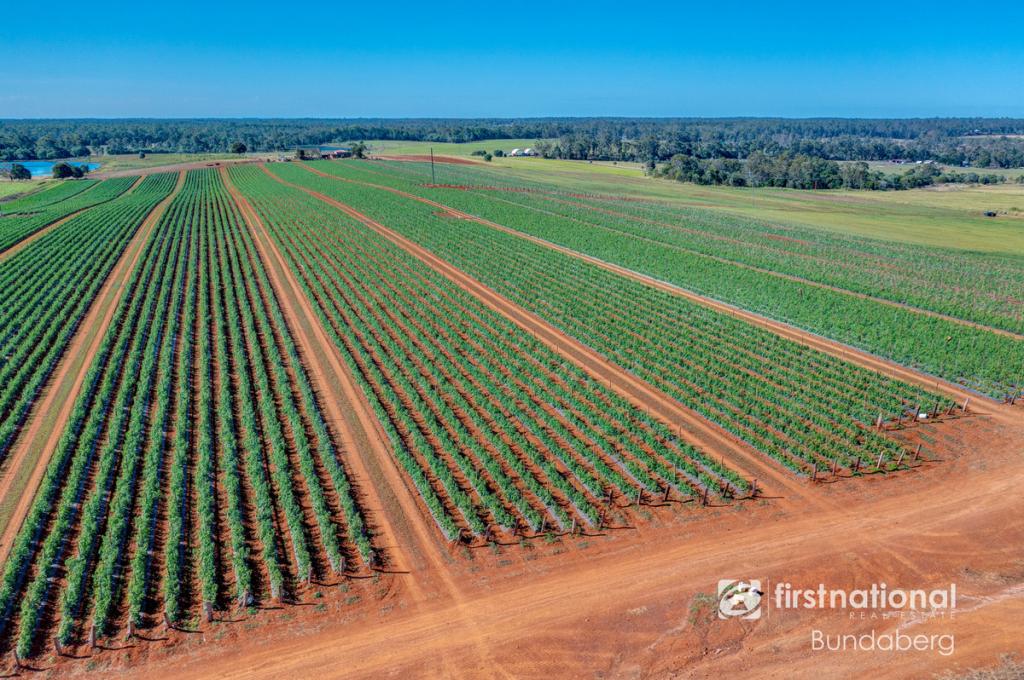 79 Abbotsford Mountain Rd, Bucca, QLD 4670