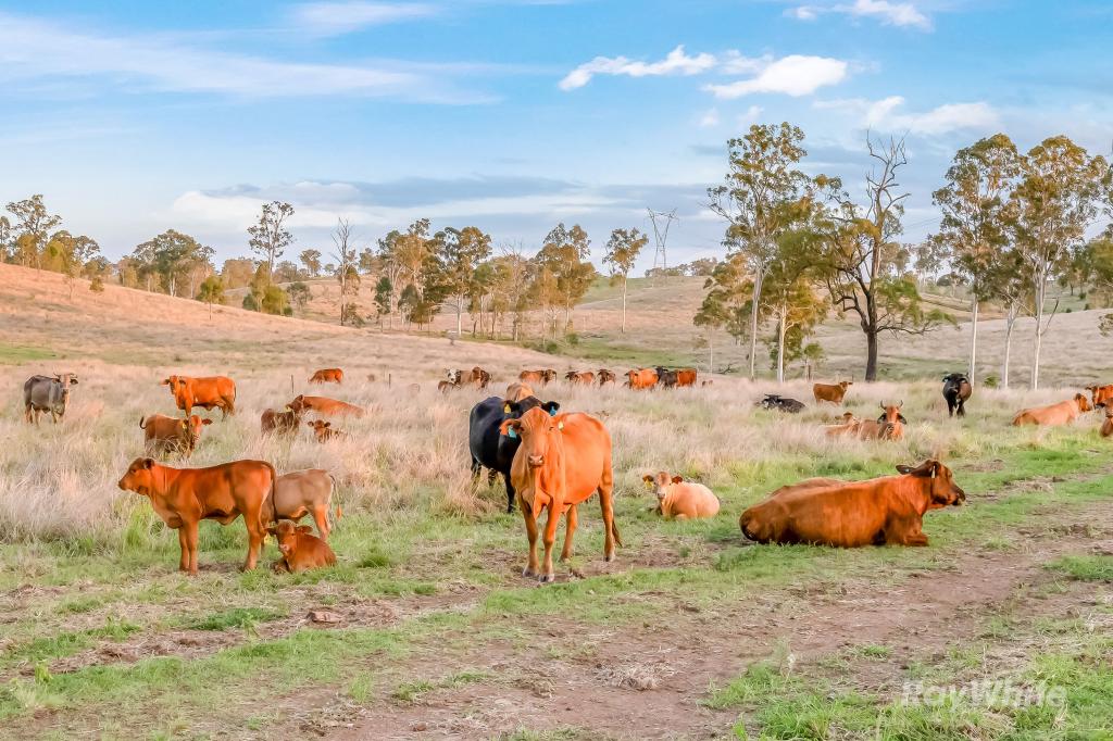 595 Walla Rd, Morganville, QLD 4671