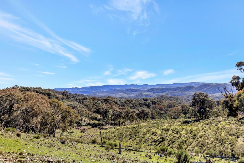 954 Pyramul Rd, Pyramul, NSW 2850