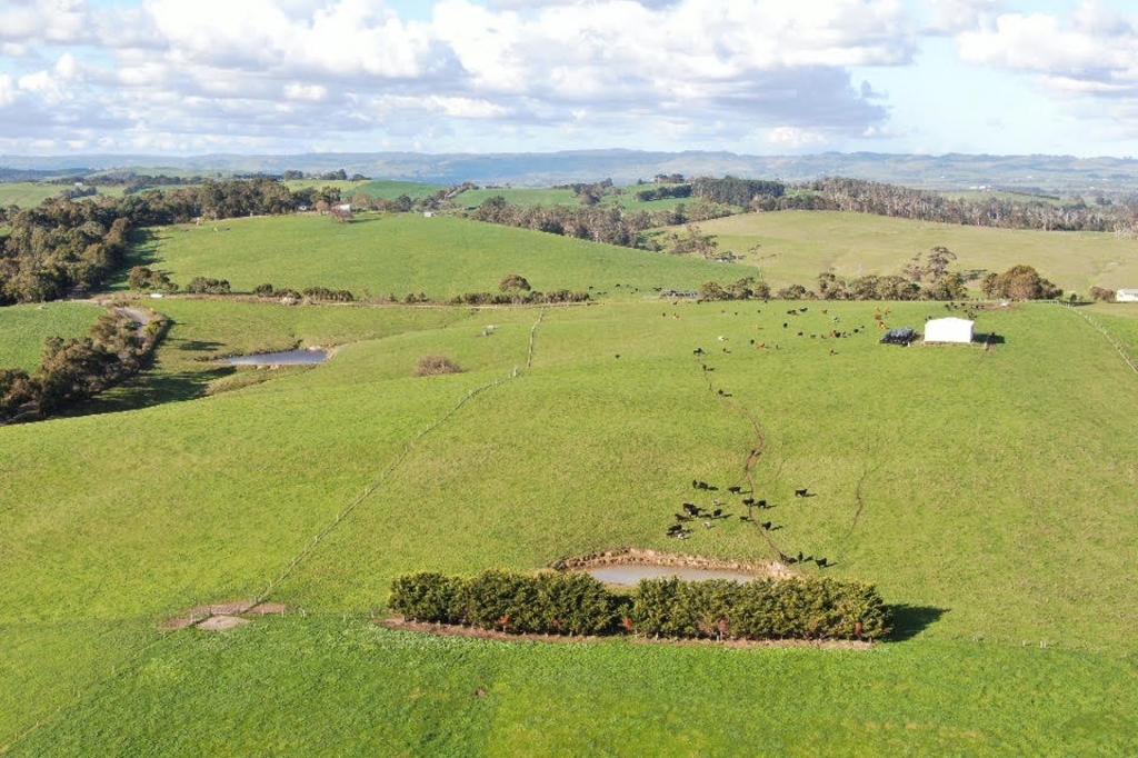 180 Old Koonwarra-Meeniyan Rd, Koonwarra, VIC 3954