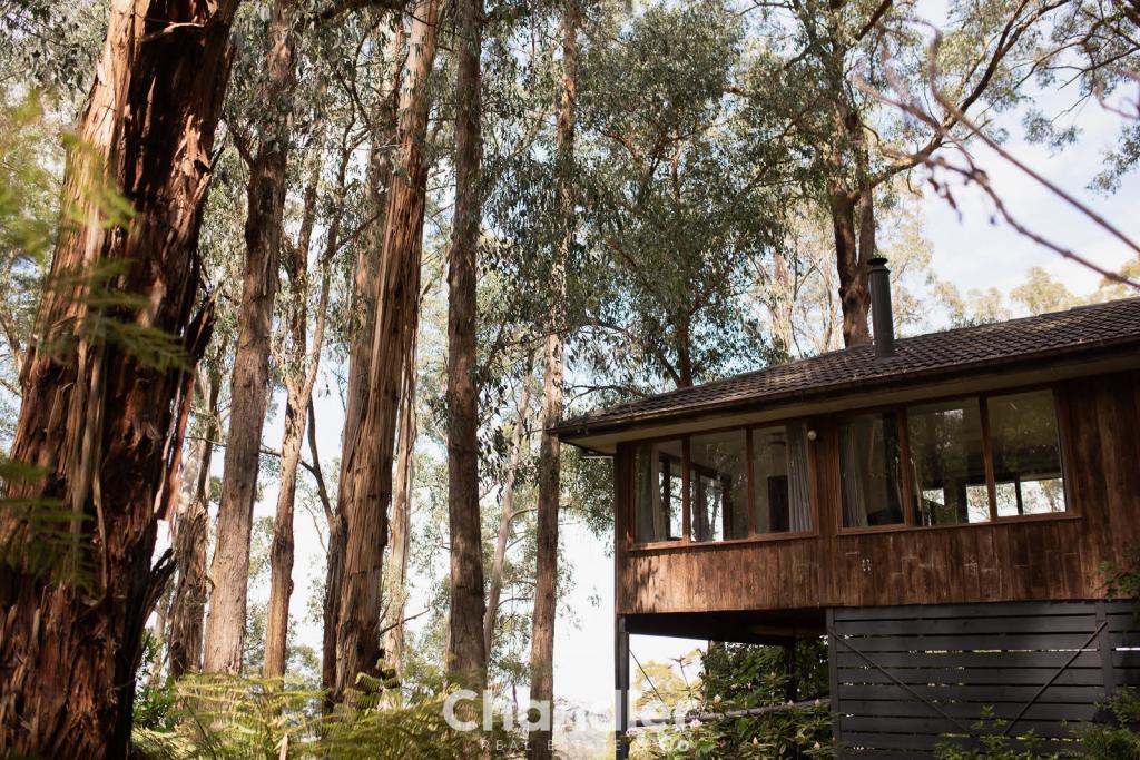 3 TOOROURRONG RD, UPWEY, VIC 3158