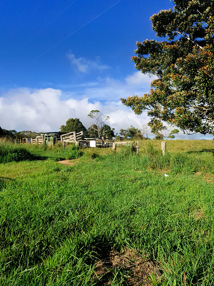 11551 Kennedy Hwy, Evelyn, QLD 4888