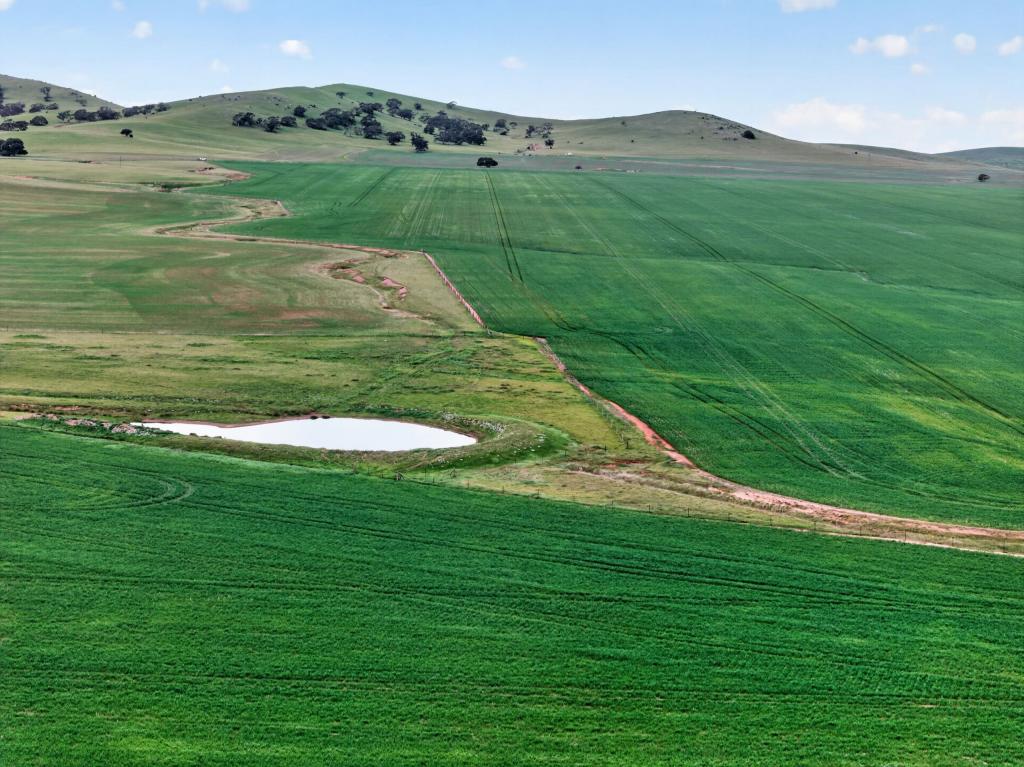 'GLEN'S' CATTLE STATION RD, MOUNT BRYAN, SA 5418